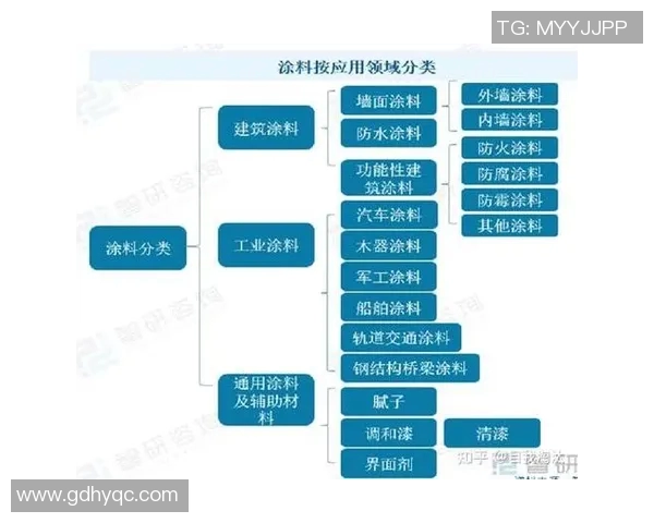 深度解析全明星最新动态与未来发展前景趋势预测